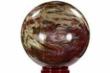 Colorful Petrified Wood Sphere - Madagascar #106003-1